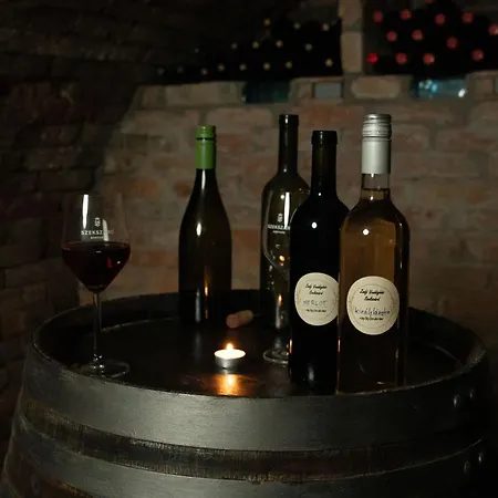 Apartment Zsofi Vendeghaz *